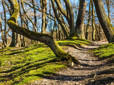 不限时间使用的手机版ddos攻击器